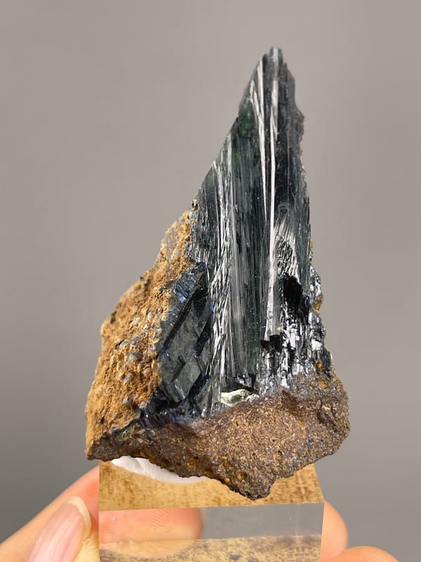 Vivianite from Brazil: long reflective blade above a rough brown base.