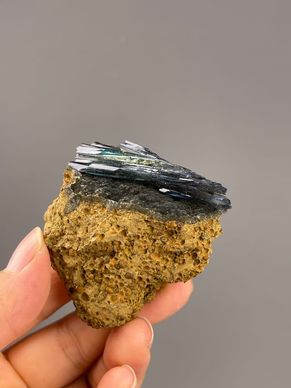 Vivianite from Brazil: side angle showing a thin crystal layer atop yellow brown matrix.