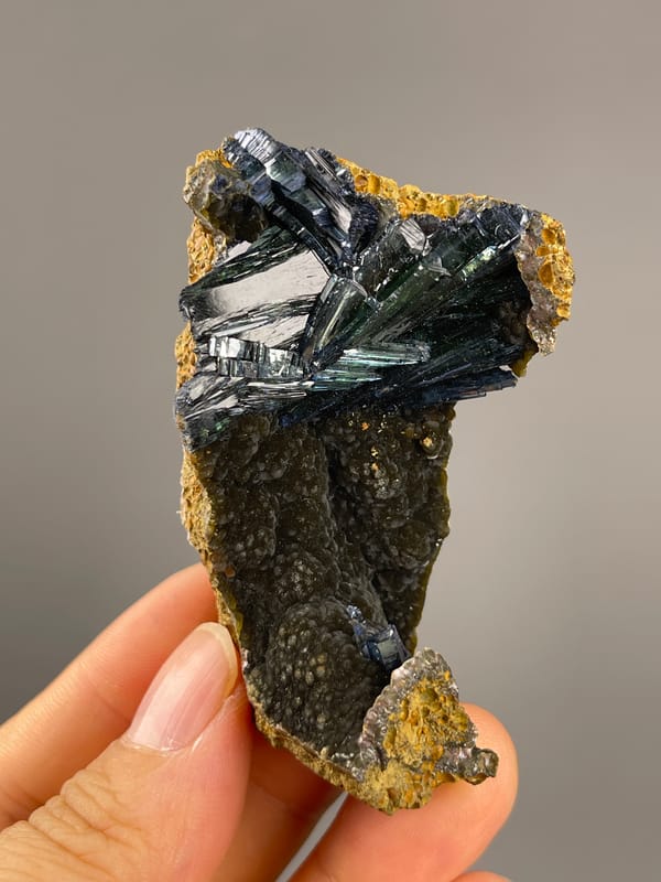 Vivianite from Brazil: reflective blades spreading across the upper edge.