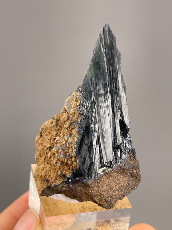 Vivianite from Brazil: front view of slender dark green crystals.