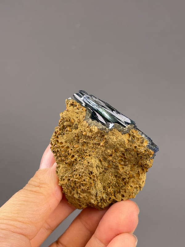 Vivianite from Brazil: back view of pitted matrix and projecting blade ends.