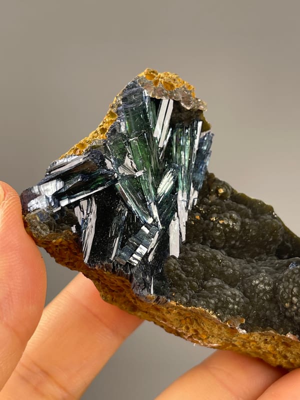 Vivianite from Brazil: fan-like crystal group along the matrix rim.
