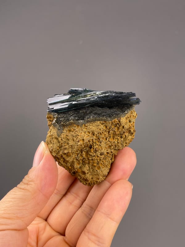 Vivianite from Brazil: whole bladed association supported between the fingers.
