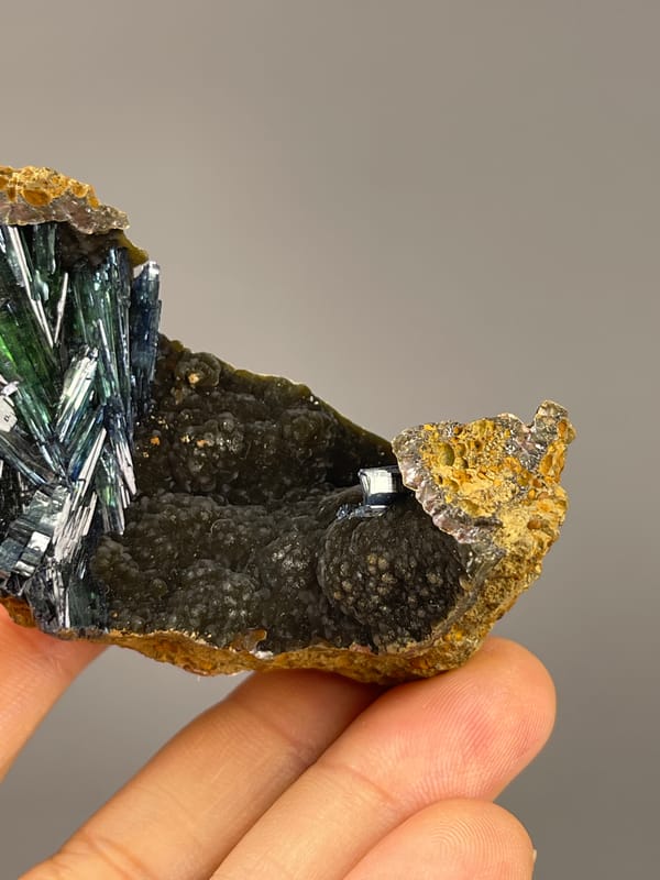 Vivianite from Brazil: side view of dark crystals above the concave base.