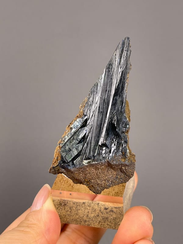 Vivianite from Brazil: side angle of long dark reflective faces.
