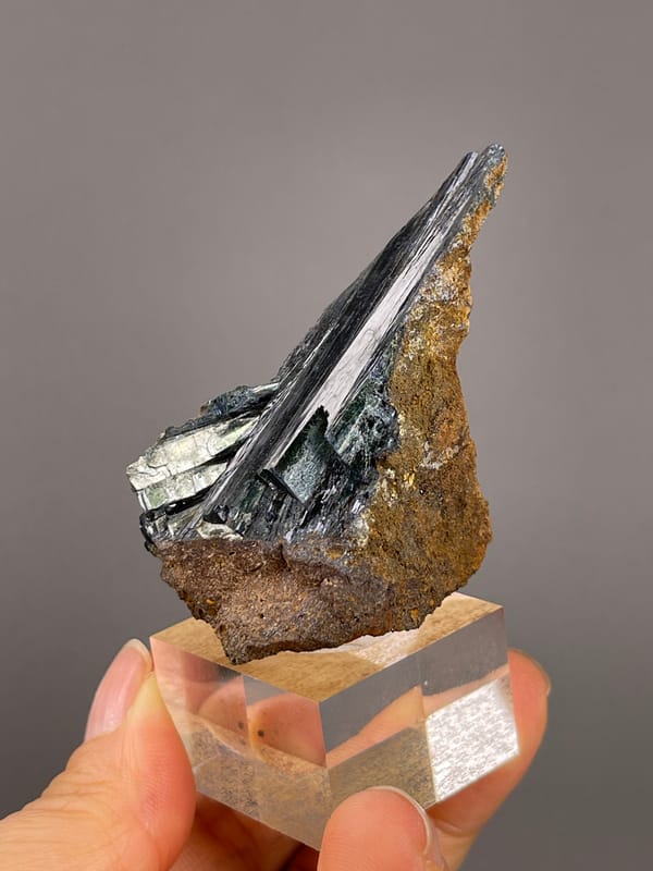 Vivianite from Brazil: thin blade profile above the brown base.