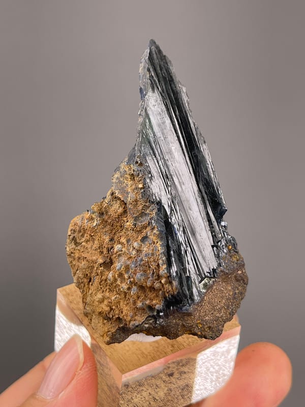 Vivianite from Brazil: upright reverse angle showing attached brown matrix.