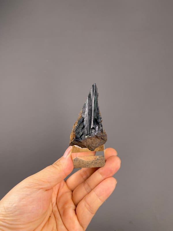 Vivianite from Brazil: whole narrow crystal group above the palm.