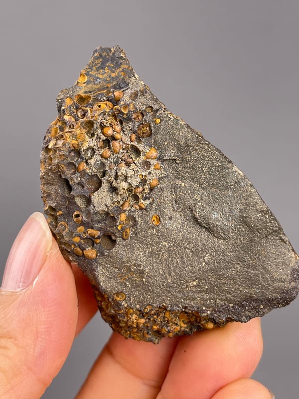 Vivianite from Brazil: rough reverse surface with rounded cavities.