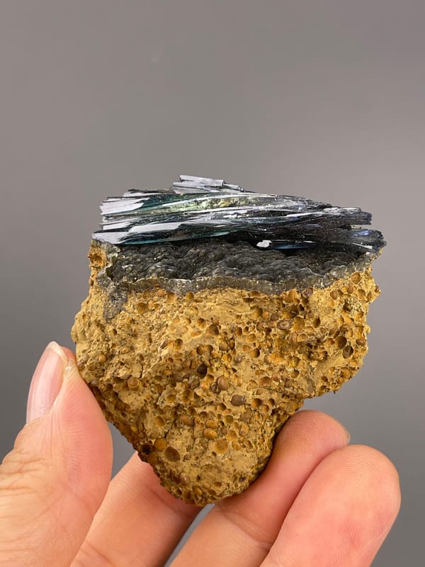 Vivianite from Brazil: front detail showing the dark crystal band above porous matrix.