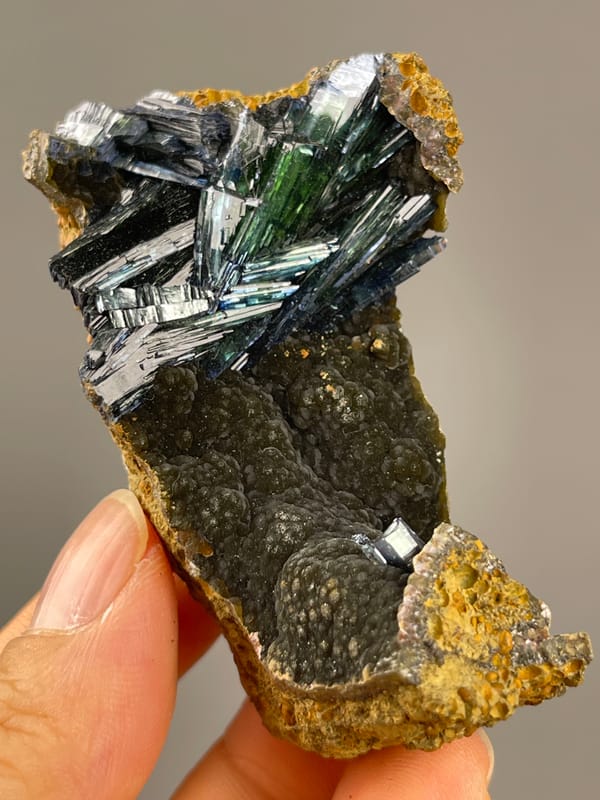 Vivianite from Brazil: upright view of crystals across the matrix top.