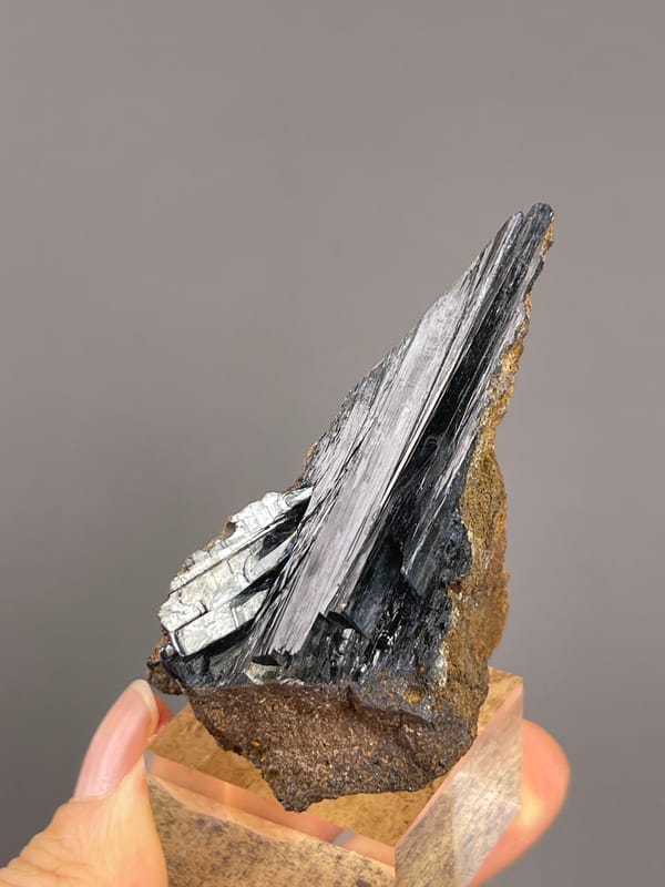 Vivianite from Brazil: front angle on the tallest narrow blade.