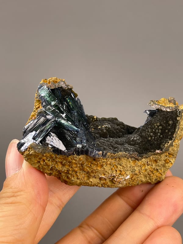 Vivianite from Brazil: broad side of the concave dark matrix.