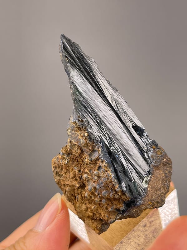 Vivianite from Brazil: side view showing the slim crystal profile.