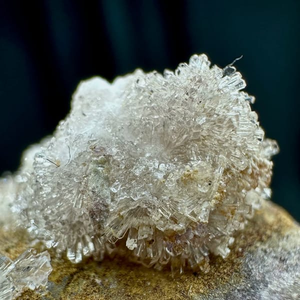 Two white chrysanthemum creedite sprays on grey rock from Guizhou, China, view 5 of 6