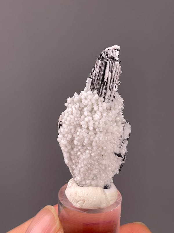 Wolframite-group with Quartz specimen from Yaogangxian, Hunan, China featuring steel-gray bladed crystals on quartz druse