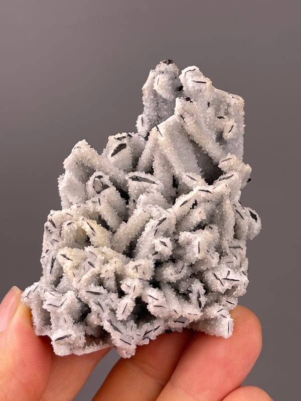 Wolframite-group specimen from Yaogangxian Mine, Hunan, China featuring steel-gray blades through white coating