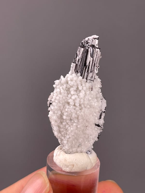 Wolframite-group with Quartz specimen from Yaogangxian, Hunan, China showing steel-gray bladed crystals on quartz druse