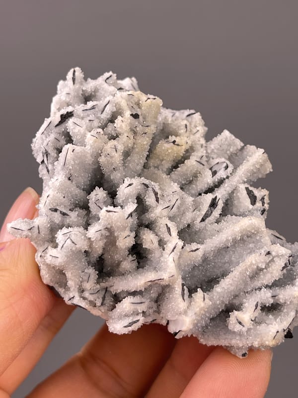 Wolframite-group specimen from Yaogangxian Mine, Hunan, China showing steel-gray blades through white coating