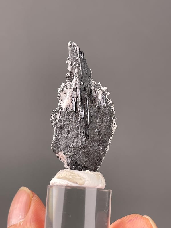 Wolframite-group with Quartz specimen from Yaogangxian, Hunan, China highlighting steel-gray bladed crystals on quartz druse