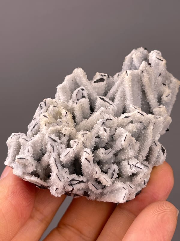 Steel-gray blades through white coating visible on wolframite-group specimen from Yaogangxian Mine, Hunan, China