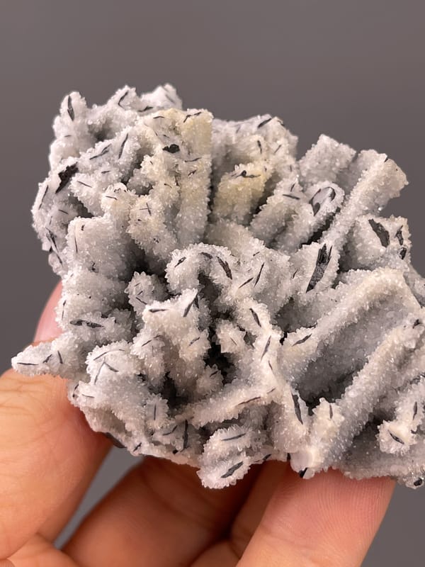 Wolframite-group specimen from Yaogangxian Mine, Hunan, China displaying steel-gray blades through white coating