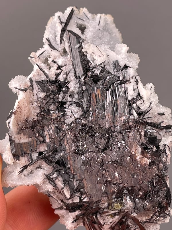 Steel-gray blades through white coating on natural wolframite-group specimen from Yaogangxian Mine, Hunan, China