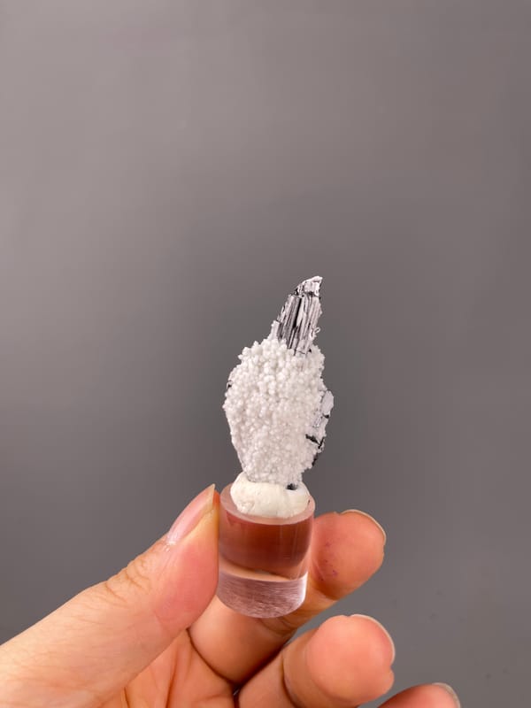 Wolframite-group with Quartz specimen from Yaogangxian, Hunan, China characterized by steel-gray bladed crystals on quartz druse