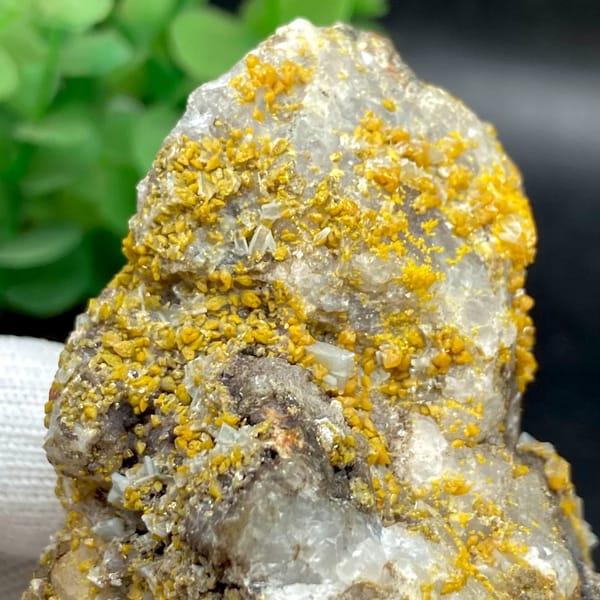 Yellow wulfenite and pale blue baryte over white matrix from Sichuan, China, view 2 of 9