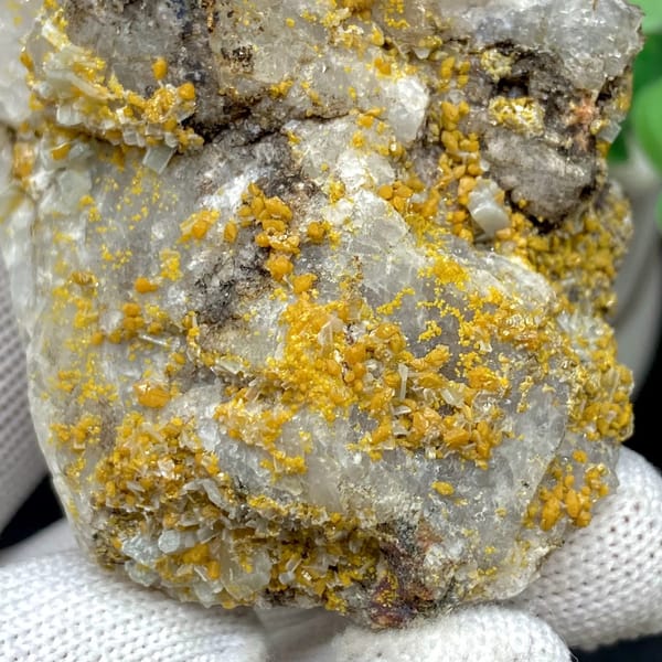 Yellow wulfenite and pale blue baryte over white matrix from Sichuan, China, view 4 of 9