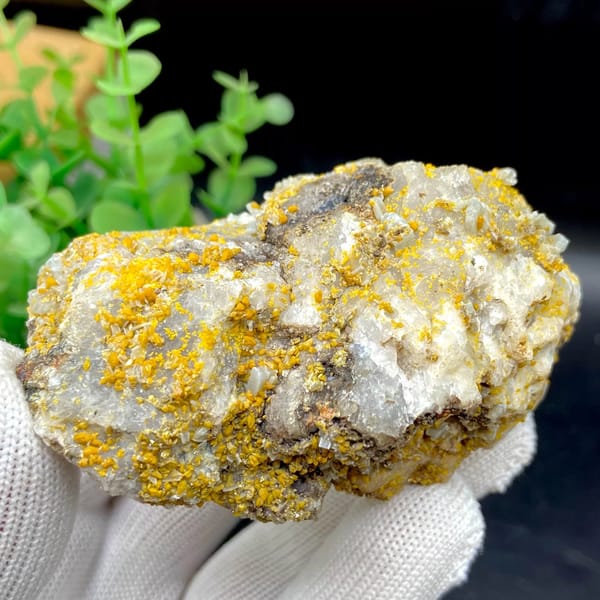 Yellow wulfenite and pale blue baryte over white matrix from Sichuan, China, view 5 of 9