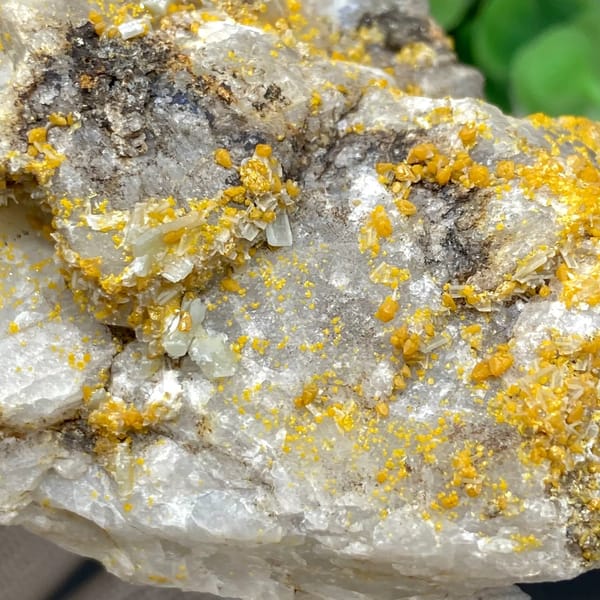 Yellow wulfenite and pale blue baryte over white matrix from Sichuan, China, view 6 of 9