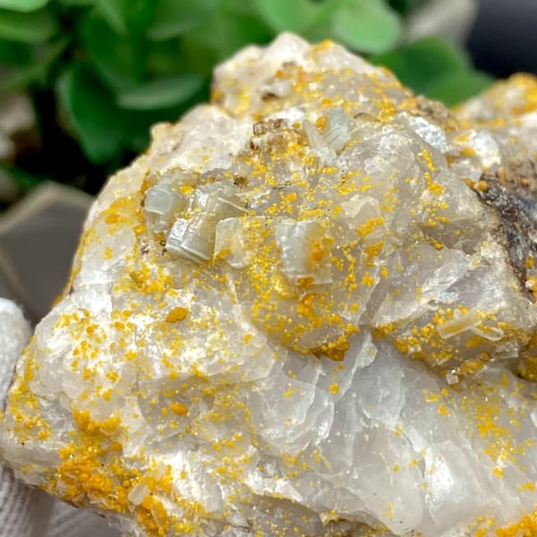 Yellow wulfenite and pale blue baryte over white matrix from Sichuan, China, view 7 of 9