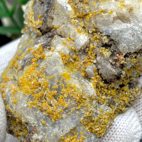 Yellow wulfenite and pale blue baryte over white matrix from Sichuan, China, view 8 of 9