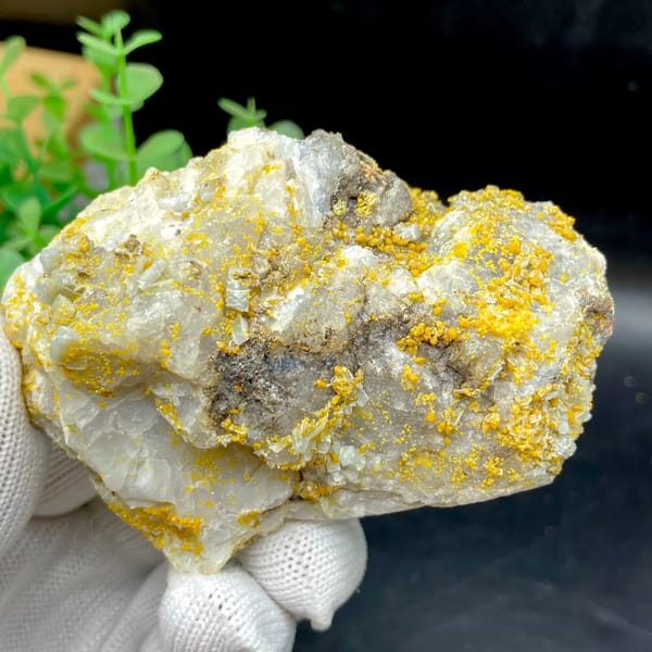 Yellow wulfenite and pale blue baryte over white matrix from Sichuan, China, view 9 of 9