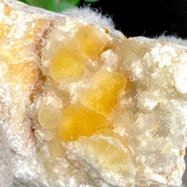 Honey-yellow botryoidal fluorite in white pocket from Henan, China, view 2 of 9