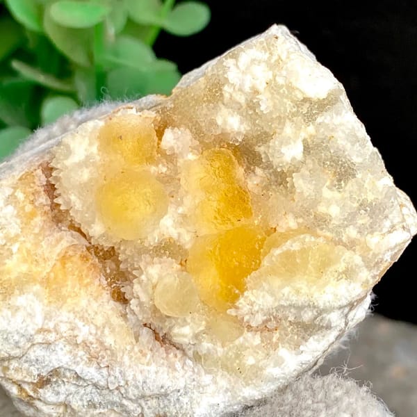 Honey-yellow botryoidal fluorite in white pocket from Henan, China, view 6 of 9