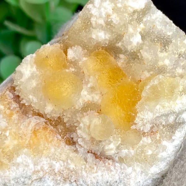 Honey-yellow botryoidal fluorite in white pocket from Henan, China, view 8 of 9