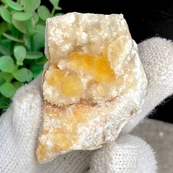 Honey-yellow botryoidal fluorite in white pocket from Henan, China, view 9 of 9