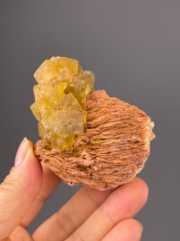 Yellow Calcite specimen from Morocco featuring honey-yellow crystals on brown rosette