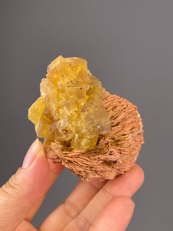 Yellow Calcite specimen from Morocco, defined by honey-yellow crystals on brown rosette