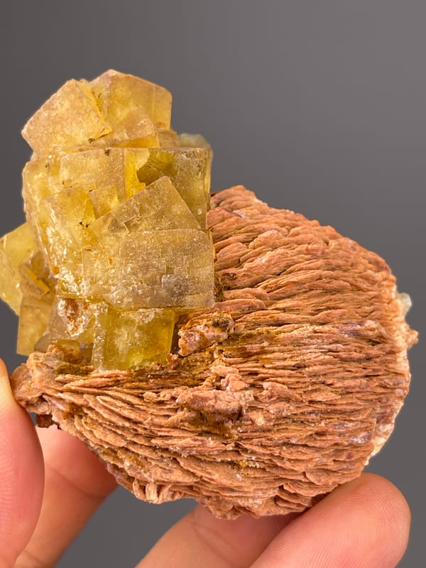 Yellow Calcite specimen from Morocco presenting honey-yellow crystals on brown rosette