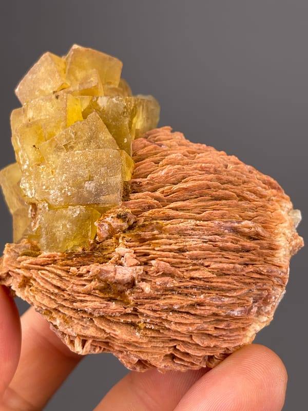 Honey-yellow crystals on brown rosette visible on yellow calcite specimen from Morocco