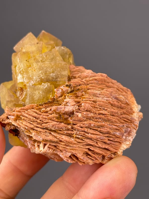 Yellow Calcite specimen from Morocco displaying honey-yellow crystals on brown rosette