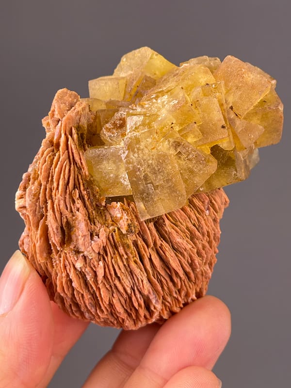 Yellow Calcite specimen from Morocco highlighting honey-yellow crystals on brown rosette