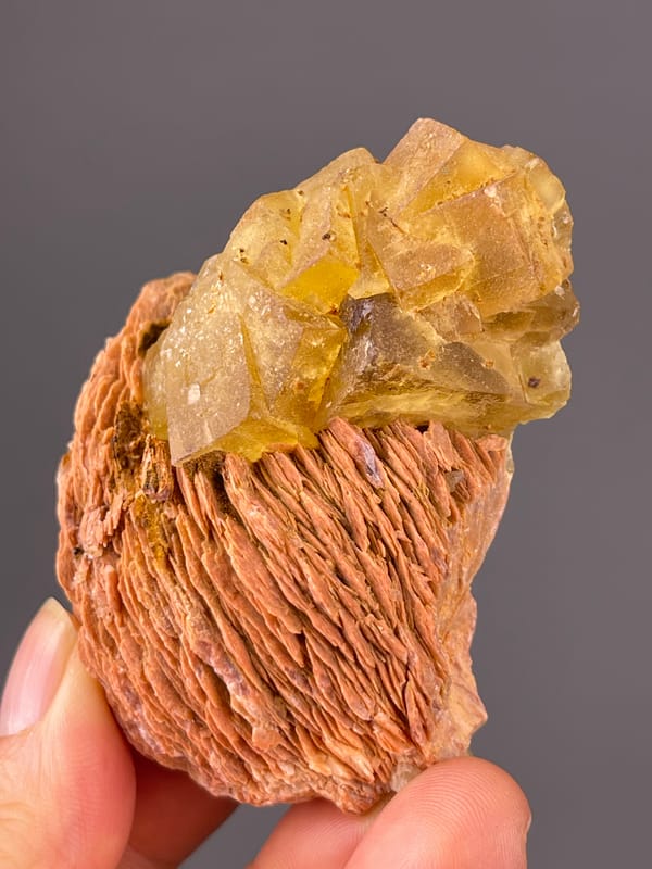 Yellow Calcite specimen from Morocco, characterized by honey-yellow crystals on brown rosette