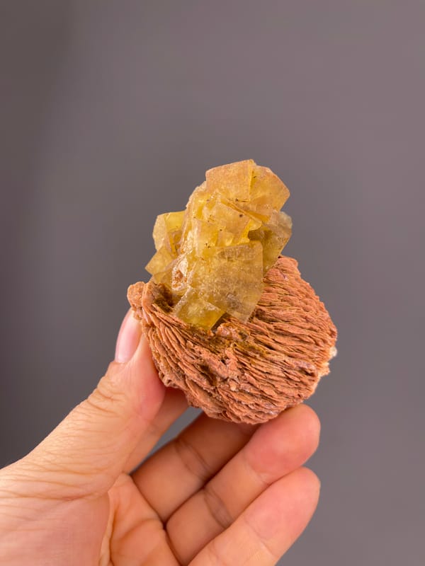 Yellow Calcite specimen from Morocco bearing honey-yellow crystals on brown rosette