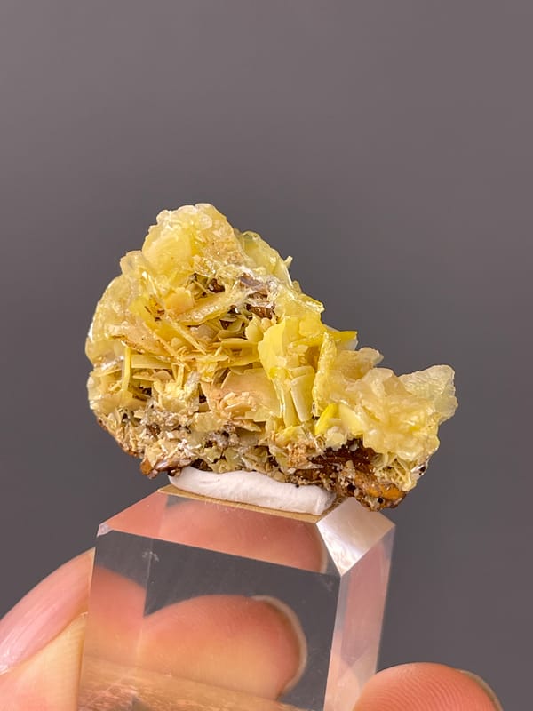 Yellow Wulfenite specimen defined by visible yellow radiating tabular blades