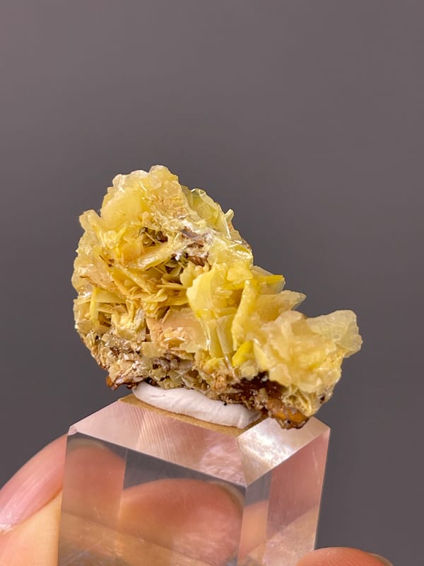 Yellow Wulfenite specimen presenting yellow radiating tabular blades clearly