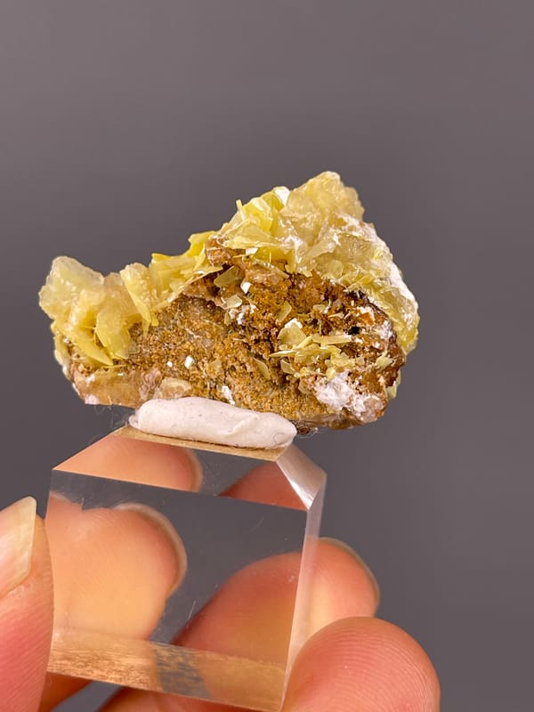 Yellow radiating tabular blades clearly visible on this yellow wulfenite specimen